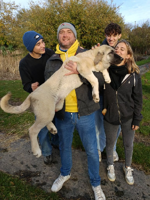 Atis-uria du Domaine de Sara